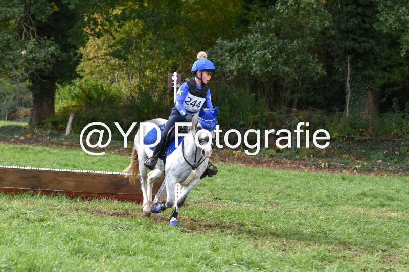 eventing-merksplas-8932-standard.jpg