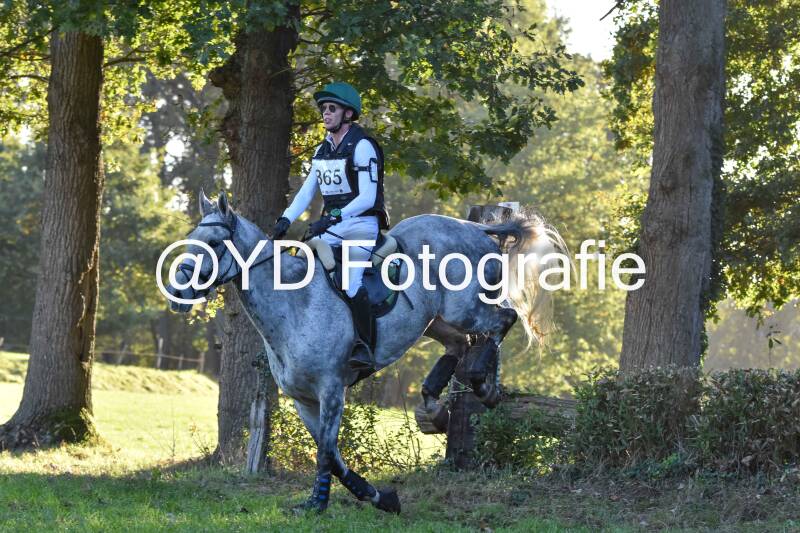 eventing-merksplas-9775-standard.jpg