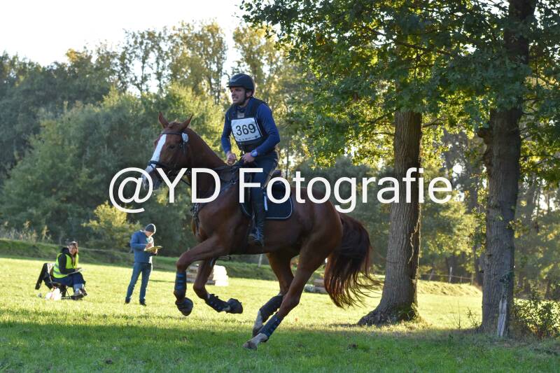 eventing-merksplas-9808-standard.jpg