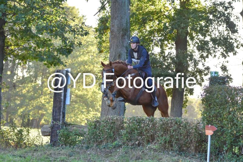 eventing-merksplas-9810-standard.jpg