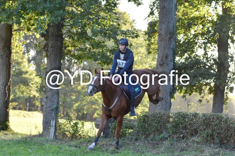 eventing-merksplas-9812-standard.jpg