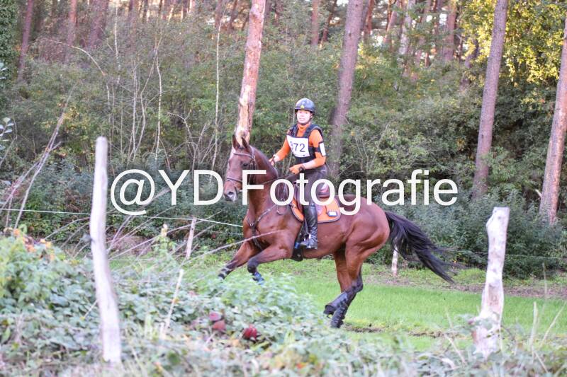 eventing-merksplas-9816-standard.jpg
