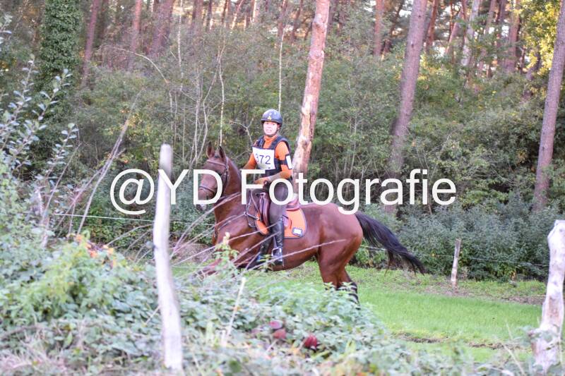 eventing-merksplas-9817-standard.jpg