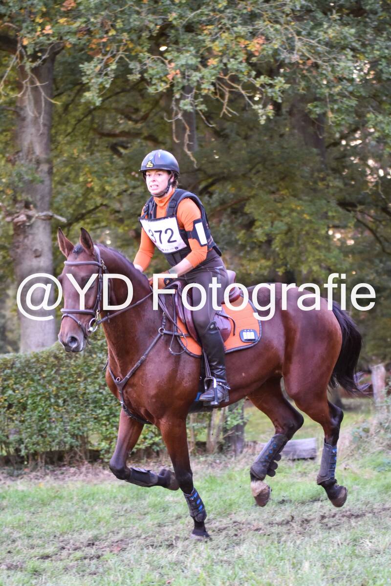 eventing-merksplas-9818-standard.jpg