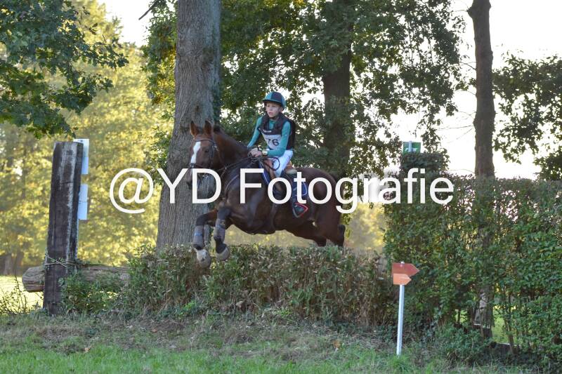 eventing-merksplas-9837-standard.jpg