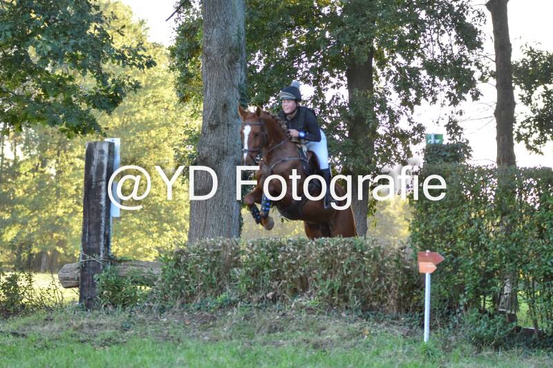 eventing-merksplas-9853-standard.jpg