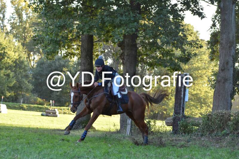 eventing-merksplas-9858-standard.jpg