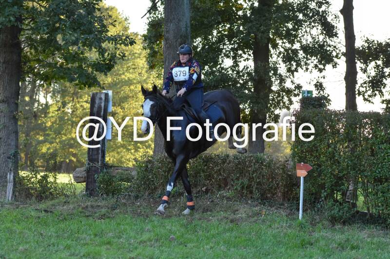 eventing-merksplas-9865-standard.jpg