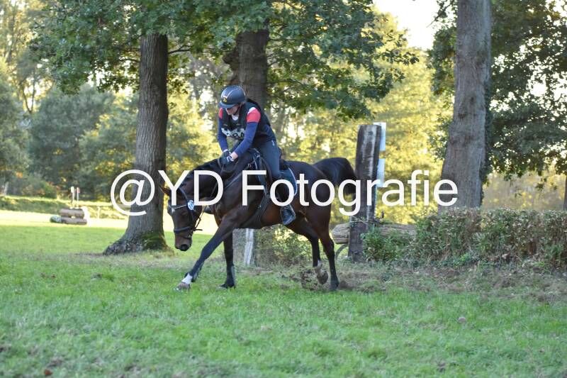 eventing-merksplas-9894-standard.jpg