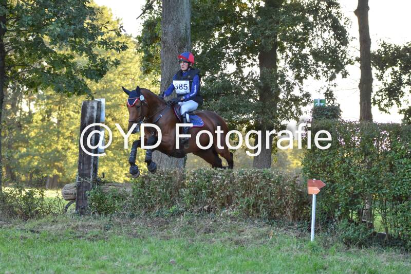eventing-merksplas-9898-standard.jpg