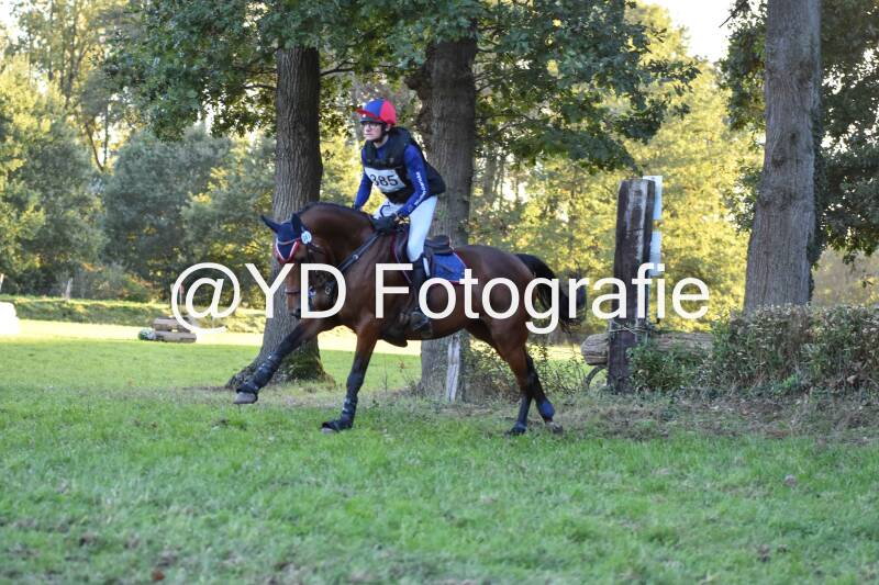 eventing-merksplas-9902-standard.jpg
