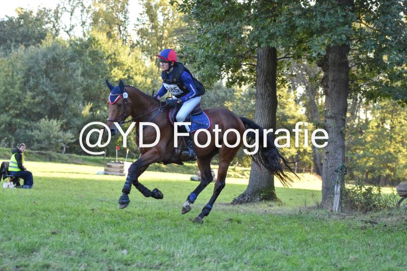 eventing-merksplas-9903-standard.jpg