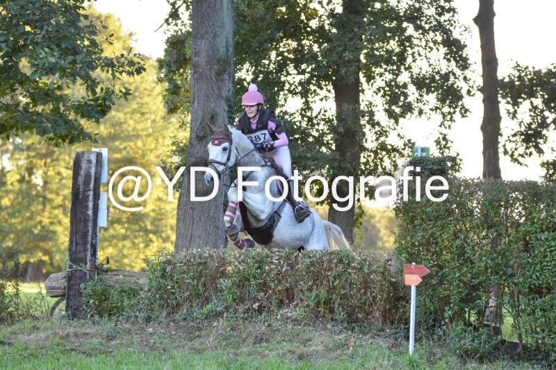 eventing-merksplas-9912-standard.jpg