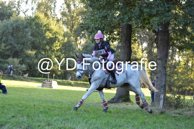 eventing-merksplas-9918-standard.jpg
