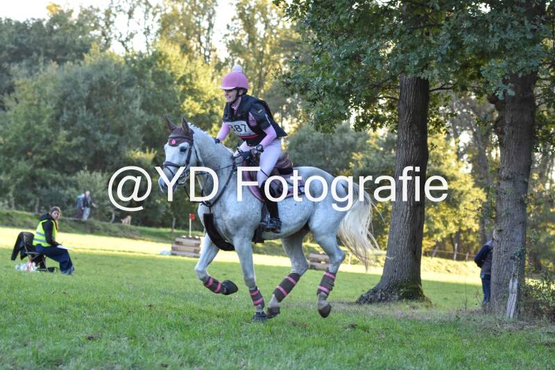 eventing-merksplas-9919-standard.jpg