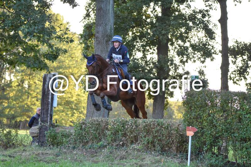 eventing-merksplas-9921-standard.jpg