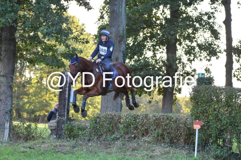 eventing-merksplas-9922-standard.jpg
