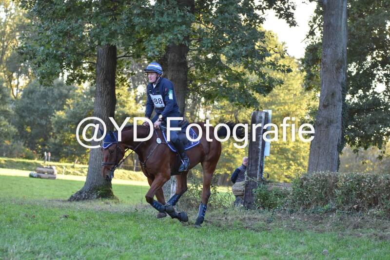 eventing-merksplas-9925-standard.jpg