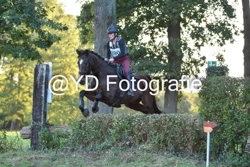 eventing-merksplas-9935-standard.jpg