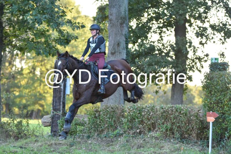 eventing-merksplas-9936-standard.jpg