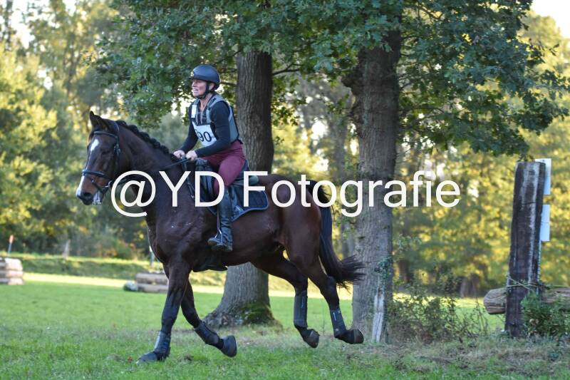 eventing-merksplas-9940-standard.jpg