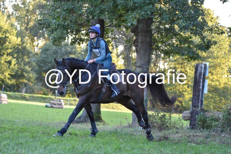 eventing-merksplas-9947-standard.jpg
