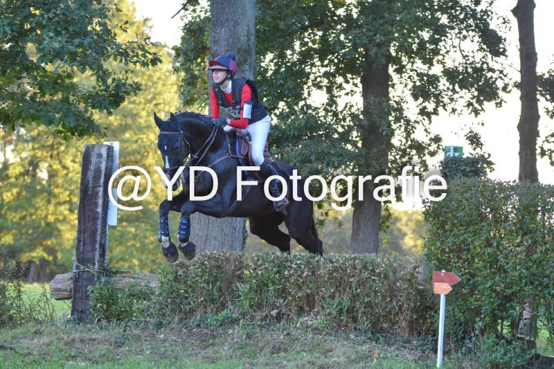 eventing-merksplas-9950-standard.jpg
