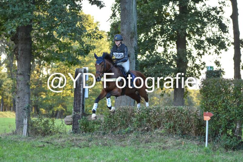 eventing-merksplas-9965-standard.jpg