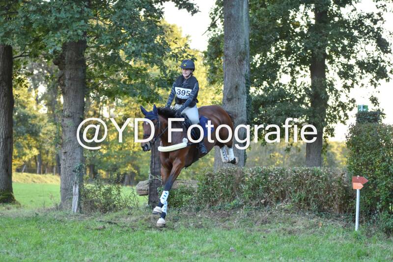 eventing-merksplas-9966-standard.jpg
