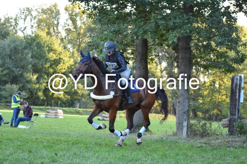 eventing-merksplas-9969-standard.jpg