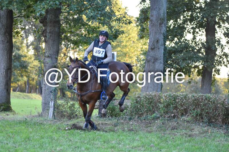 eventing-merksplas-9988-standard.jpg