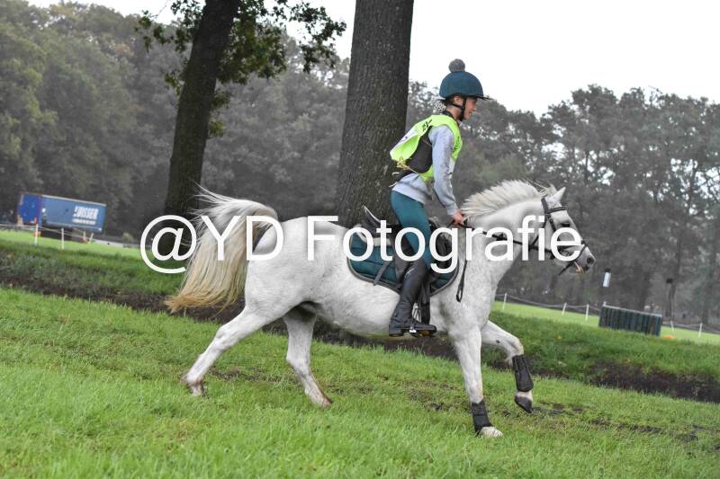naamloos-0072-standard.jpg