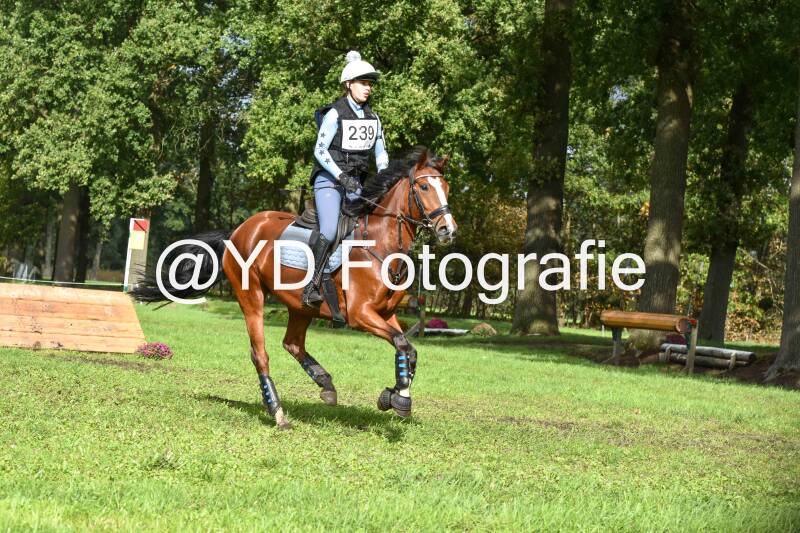 naamloos-0388-standard.jpg
