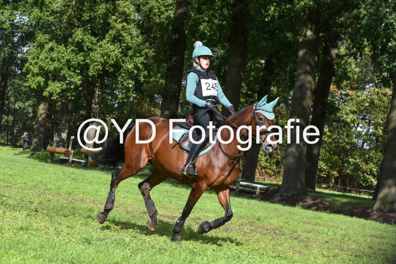 naamloos-0460-standard.jpg