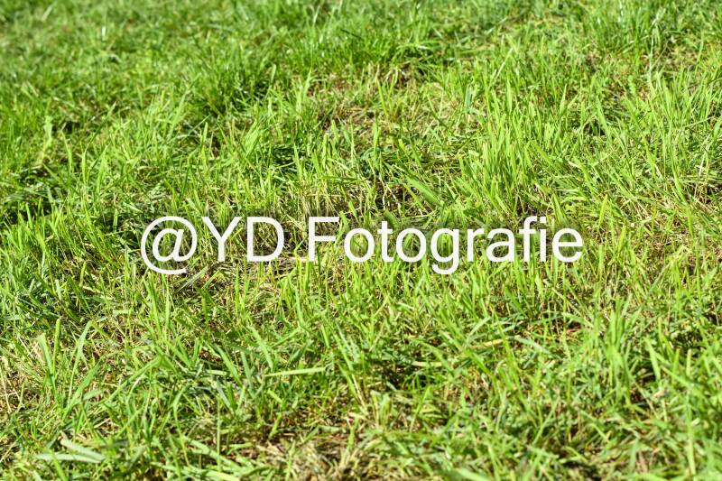 naamloos-0533-standard-2j8otm.jpg