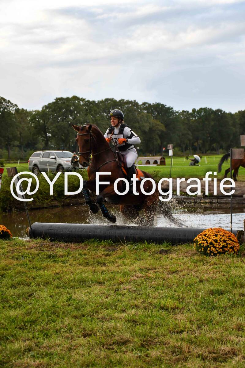 naamloos-0651-standard-hfbrit.jpg