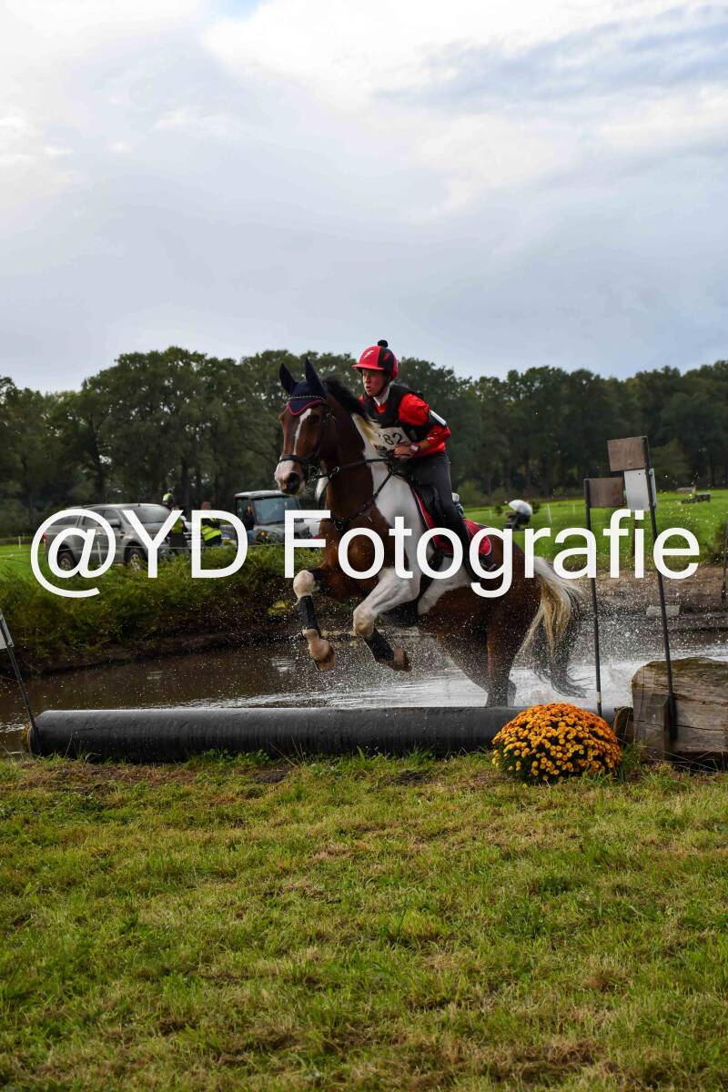 naamloos-0735-standard-f1aybv.jpg