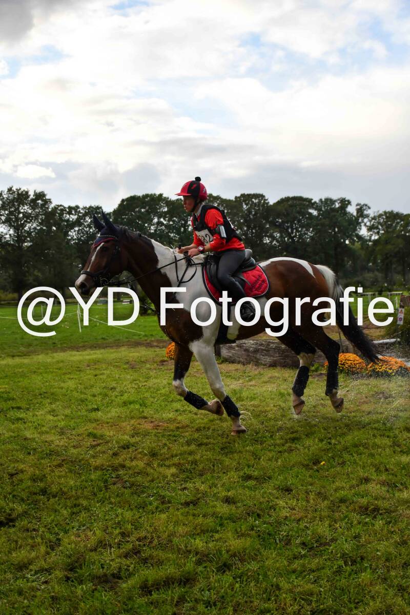 naamloos-0741-standard-yhe1kc.jpg