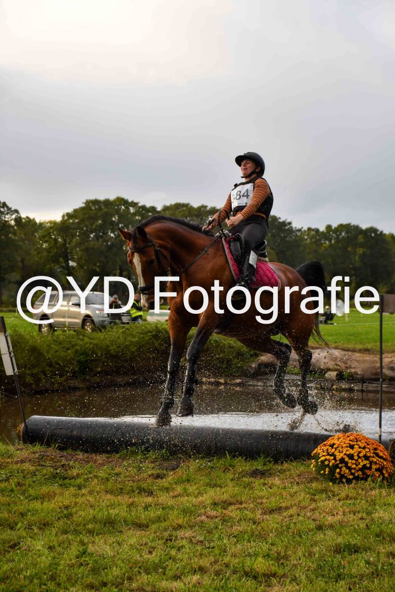 naamloos-0786-standard-mh0jbj.jpg