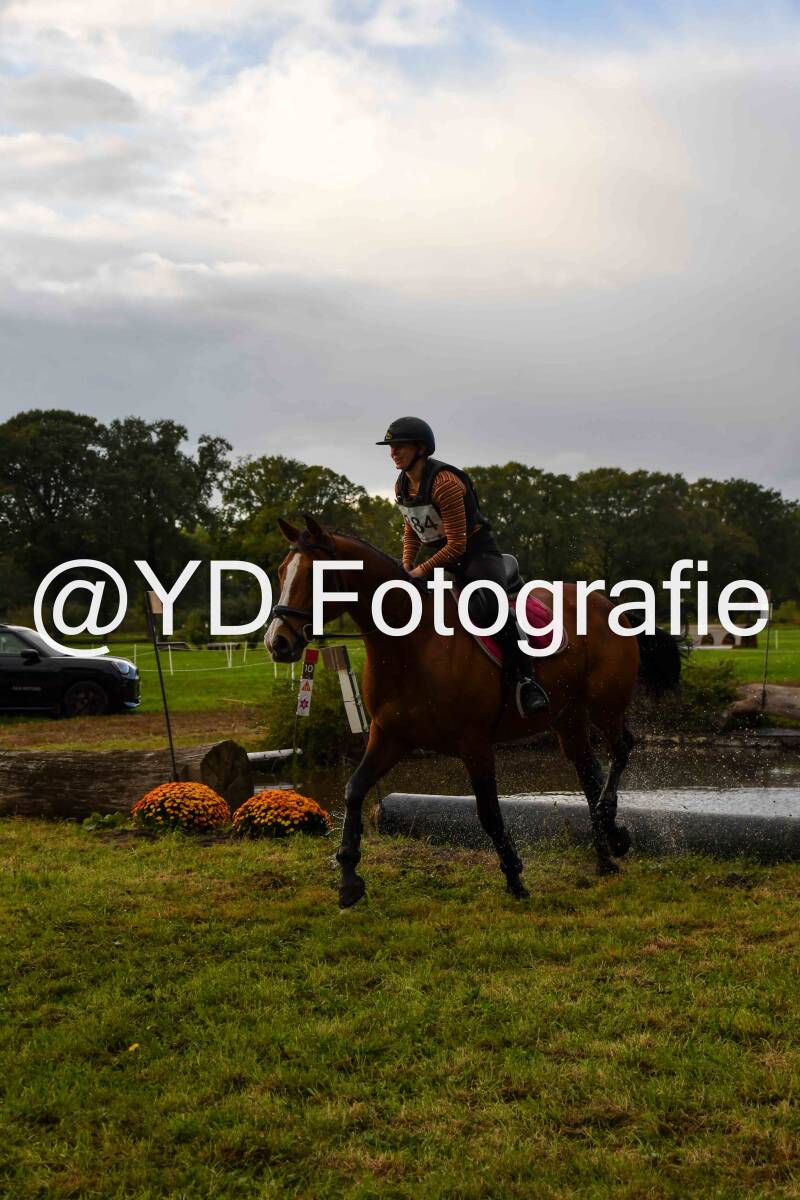 naamloos-0790-standard-56ydsk.jpg