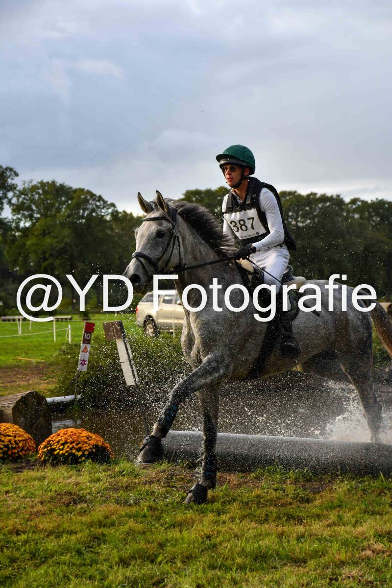 naamloos-0837-standard-aultz1.jpg