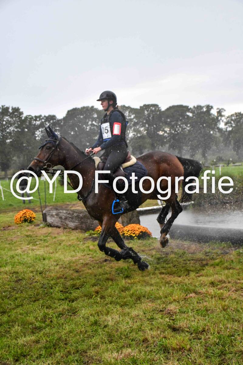 naamloos-1129-standard-nz0efk.jpg