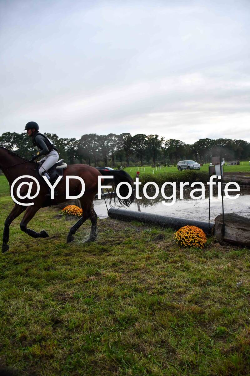 naamloos-1319-standard-c9e5nz.jpg