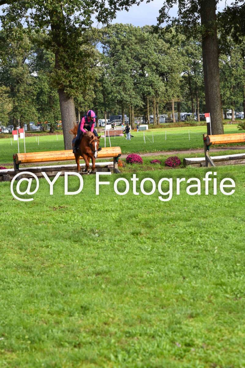 naamloos-1397-standard.jpg