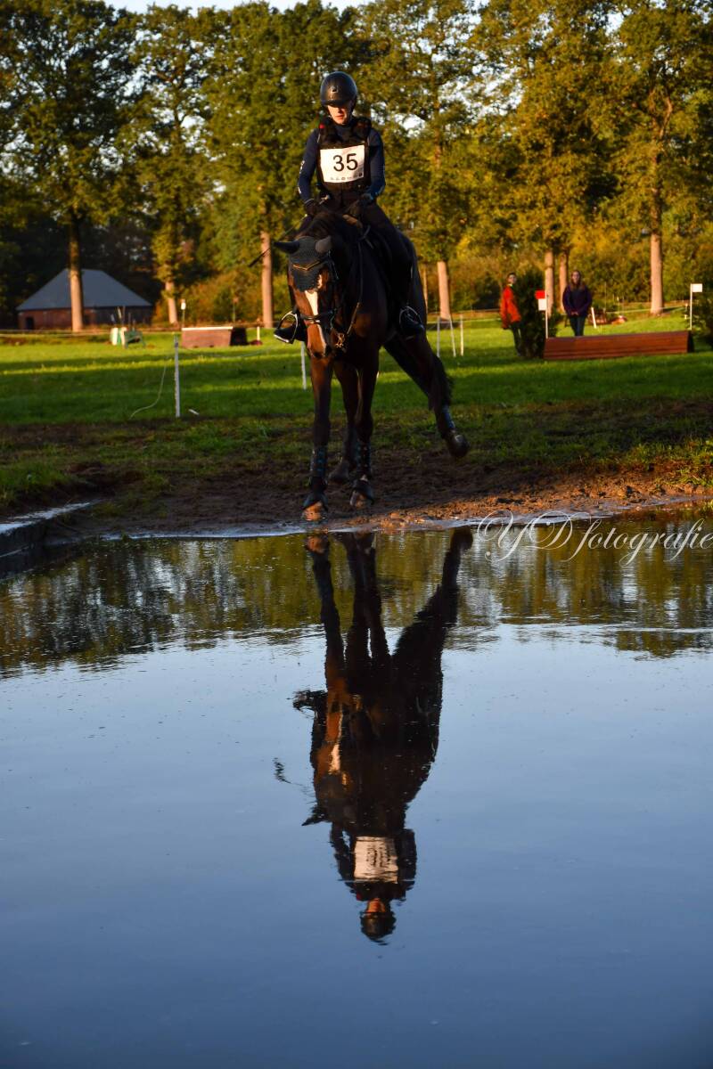 naamloos-7345-standard.jpg
