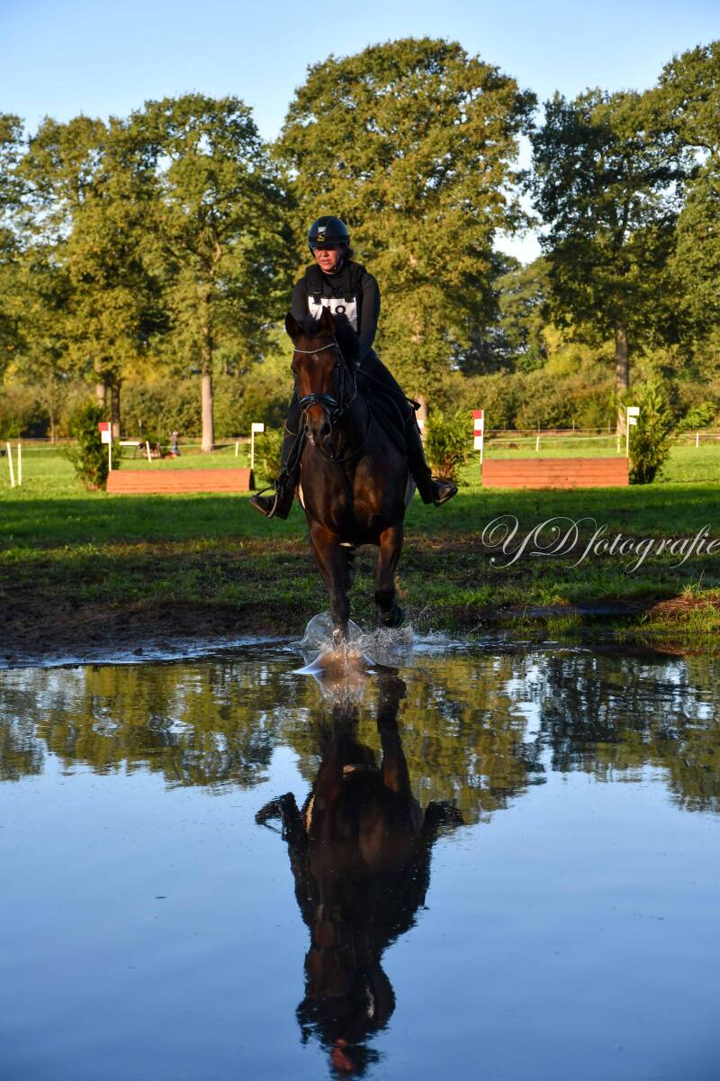 naamloos-7488-standard.jpg