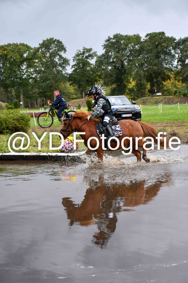 naamloos-9671-standard-79smse.jpg