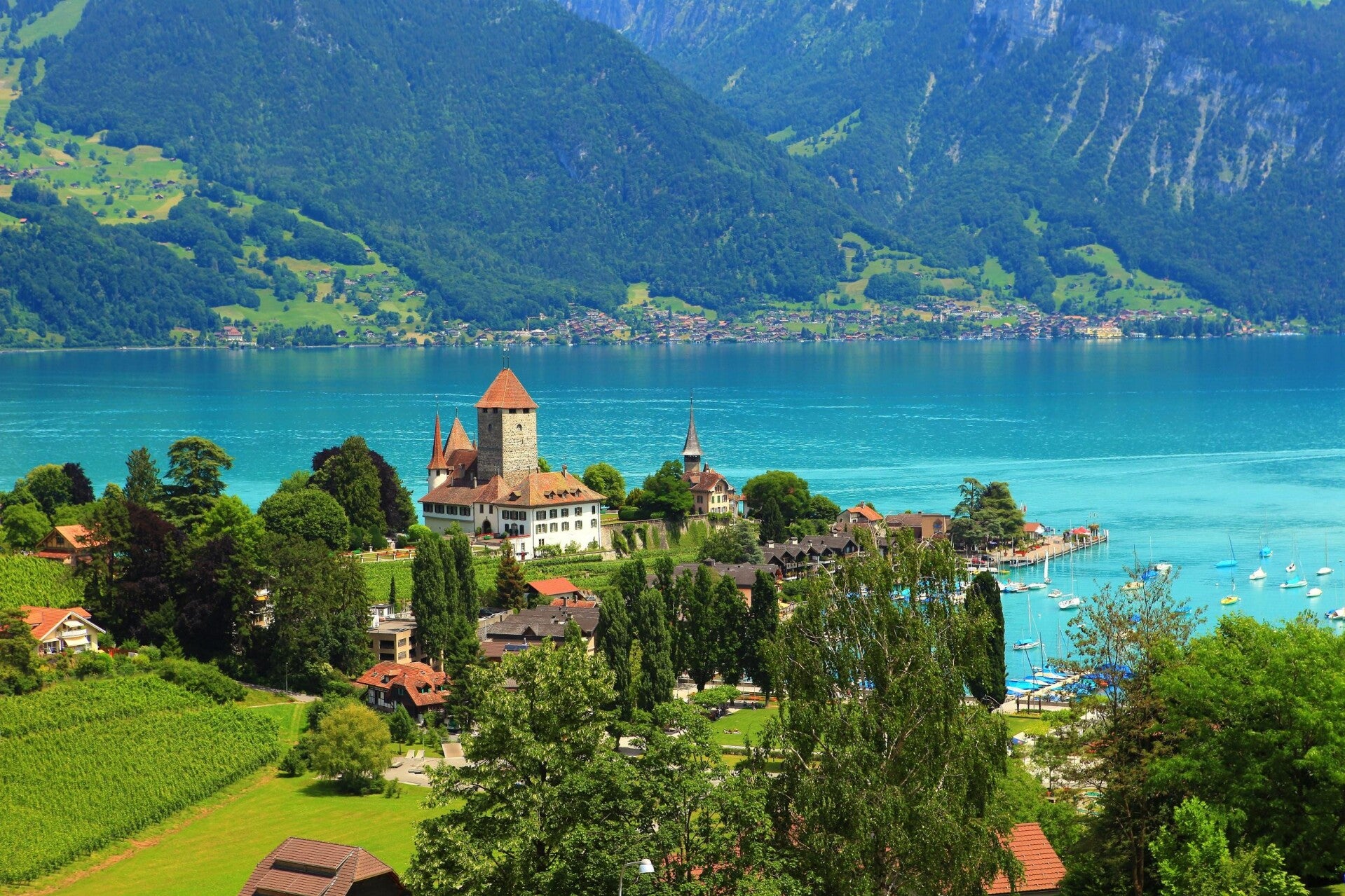 Partner with Yellow Pages Swiss