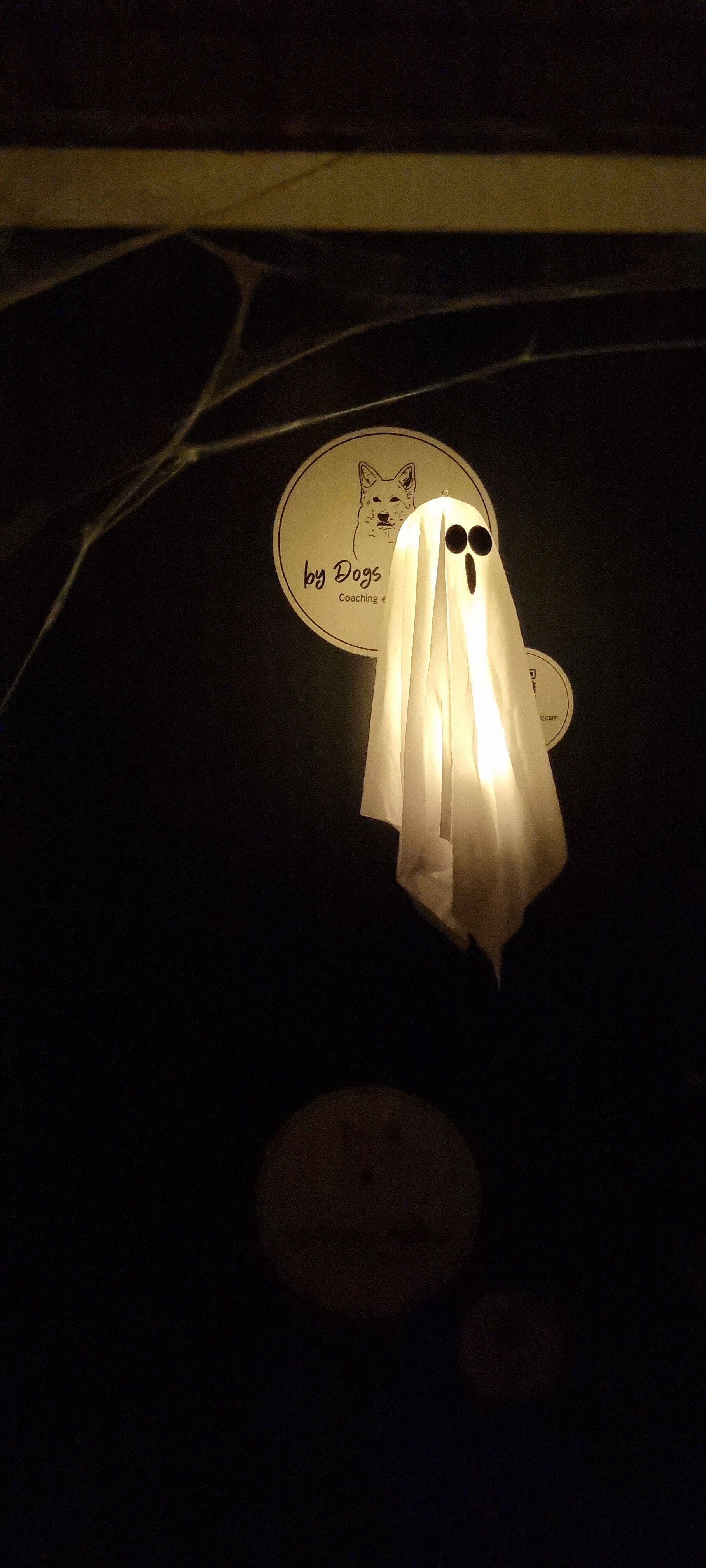 🎃👻Reserveren Halloween Snuffel Avontuur (Basis)🧟🕯️op Vrijdag 23 oktober 2026.