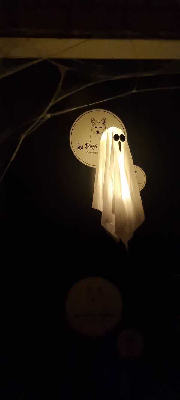 🎃👻Reserveren Halloween Snuffel Avontuur (Basis)🧟🕯️op Vrijdag 23 oktober 2026.